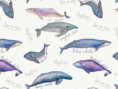 Whales