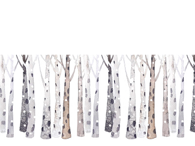 Birch trees pattern