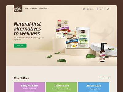 Home Page Design for Nature's Jeannie banner banner design branding design illustration logo ui ui design web design website