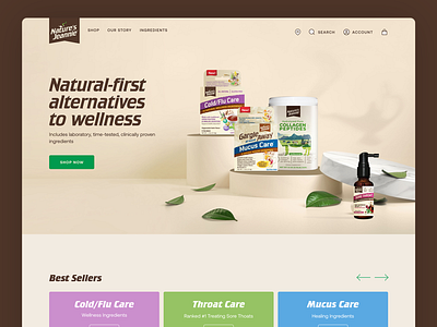 Home Page Design for Nature's Jeannie