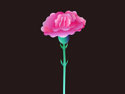 20190809 carnation design flower illustration
