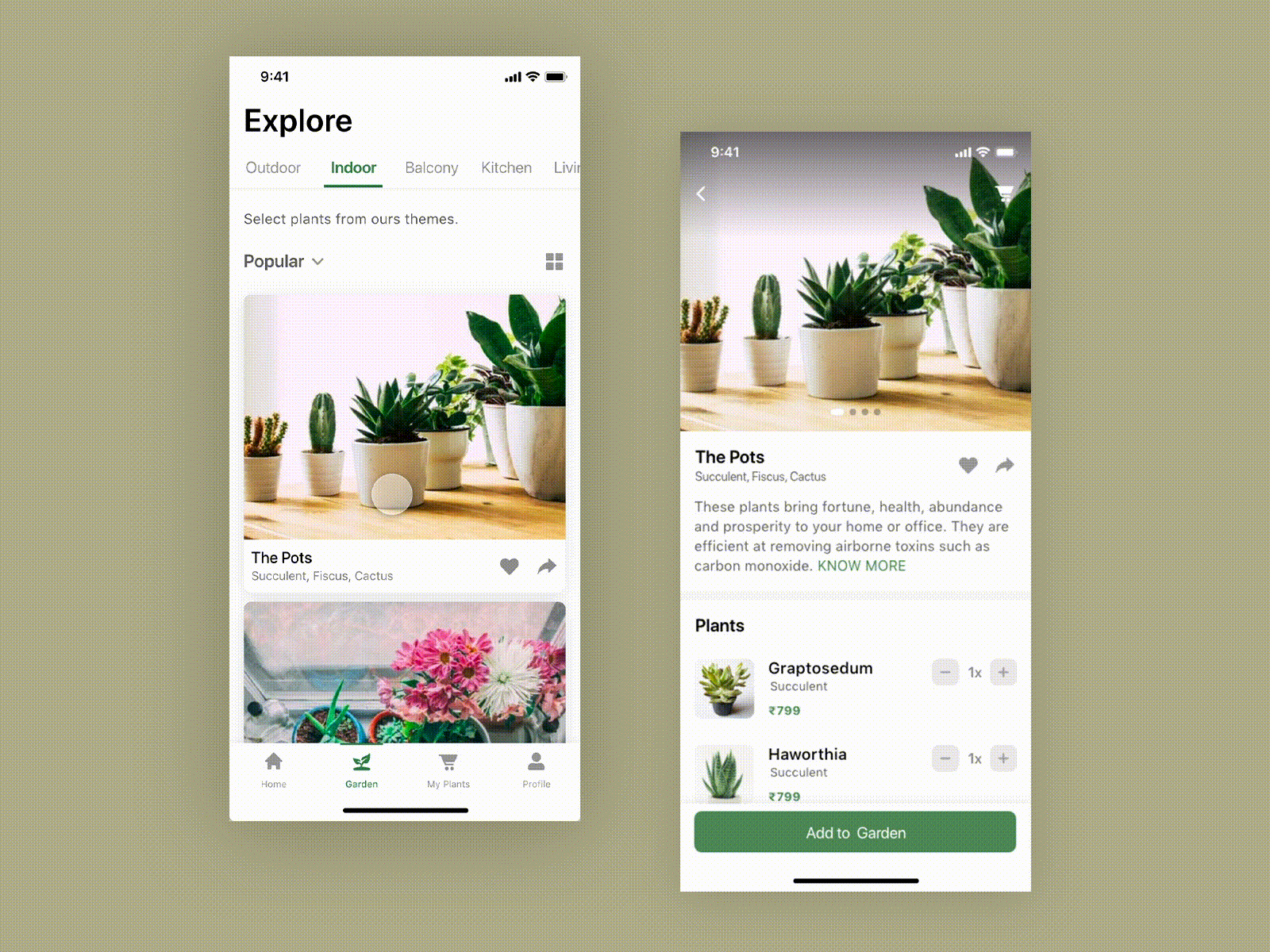 Planto - Explore ecommerce garden plant app plant shop theme design ui ux