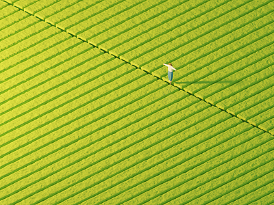 Socially Distant alone blender farming field harvest illustration isolation isometric lonely lowpoly modeling rows scarecrow social distancing