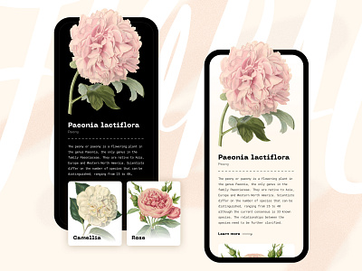 Floral app concept app dark flower helsinki ios light minimalist ui