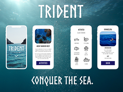 Trident: Explorer Application
