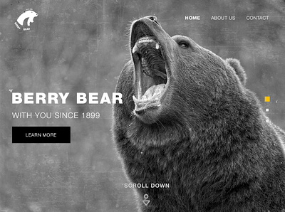 Berry Bear app art branding design illustration logo moon typography webdesign webdevelopment