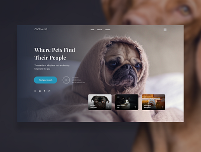 Landing page for animal shelter art branding design typography ui ux web webdesign webdevelopment