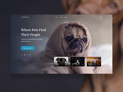 Landing page for animal shelter