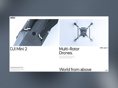 Multi-Rotor Drones.