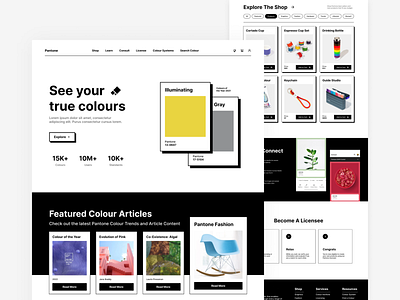 Pantone Homepage