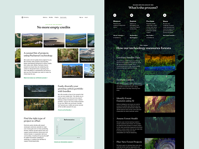 Pachama - How it works Landing Page carbon carbon credits climate co2 design flat landing pachamama typography ui ux