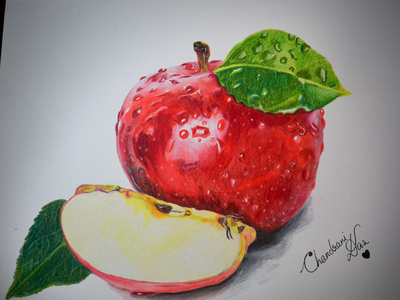 Drawing Apple art apple hand drawing drawing chandrani das