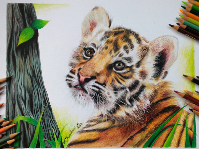 Drawing a cub animal animal drawing chandrani das cub drawing hand drawing