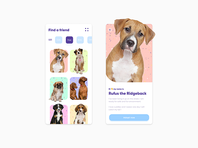 Pet Adoption Exploration animals app bubblegum dogs pets ui vector