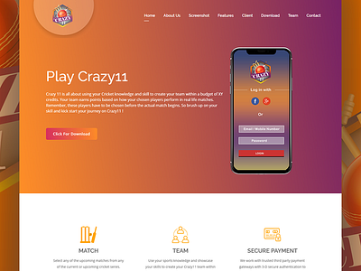 PlayCrazy11 icons design logo mobile app design web design