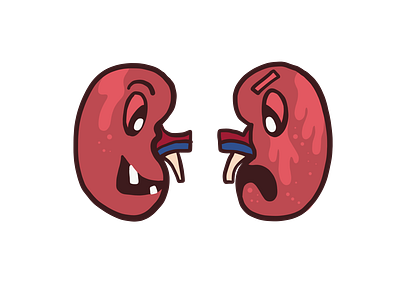 Kidneys body