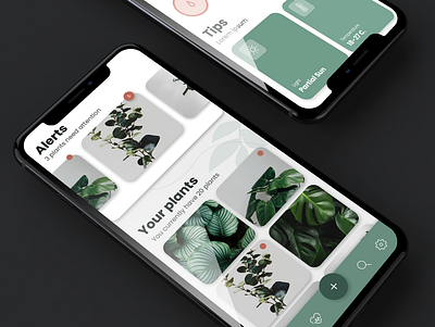 Plantly App Concept app app design green mobile mobile app design native native app plant