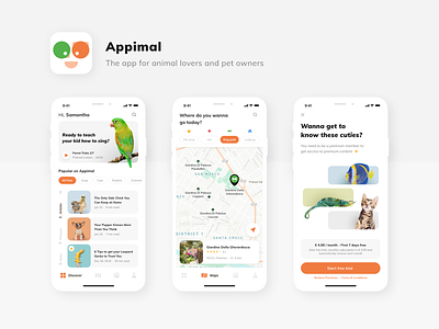 Appimal - Designflows 2020 animals app design challenge logo