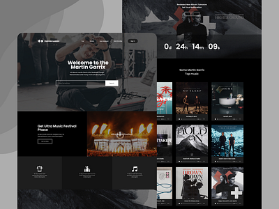 ReDesign Martin Garrix Websites