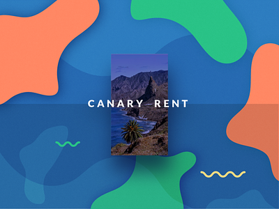 Branding for real estate company Canary rent app branding branding and identity flat illustration logo realestate typography vector website