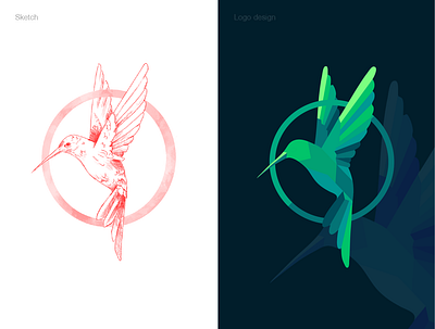 Colibri logo bird branding flat illustration illustrator logo logo design sketch vector