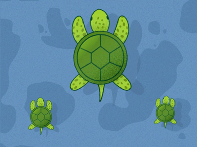 Turtles 2d animation aftereffects animation baby cute gif illustration loop sea swim turtle