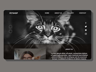 Petshop branding design illustration ui ux web website