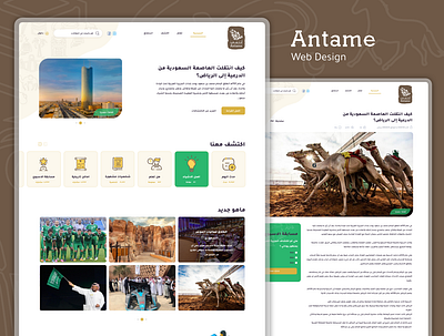 Antame Redesign clean design figma html modern sketch ui website