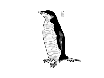 Pinguin animal art animation art branding character clean design icons identity illustration illustrator lettering logo minimal mobile pinguins typography vector web website