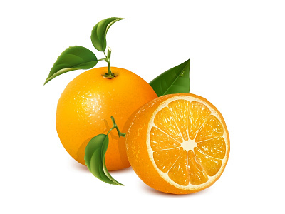 Vector fresh ripe oranges with leaves illustration orange vector