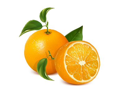 Vector fresh ripe oranges with leaves