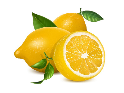 Vector fresh lemons with leaves. by Eleonora Ivanova on Dribbble