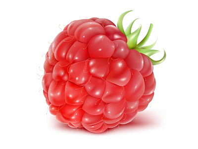 Vector illustration of ripe raspberry.