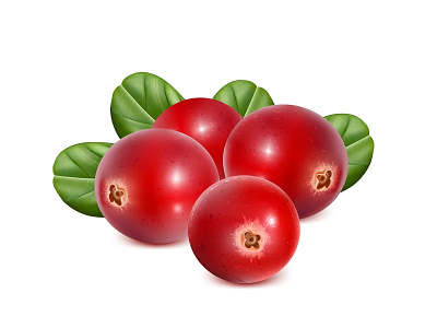 Ripe red cranberries with leaves