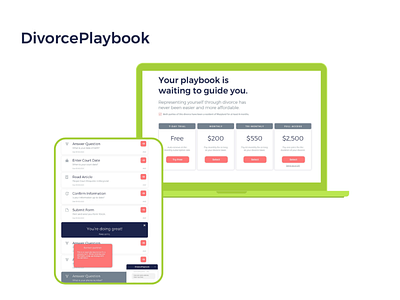 Divorce Playbook Portfolio