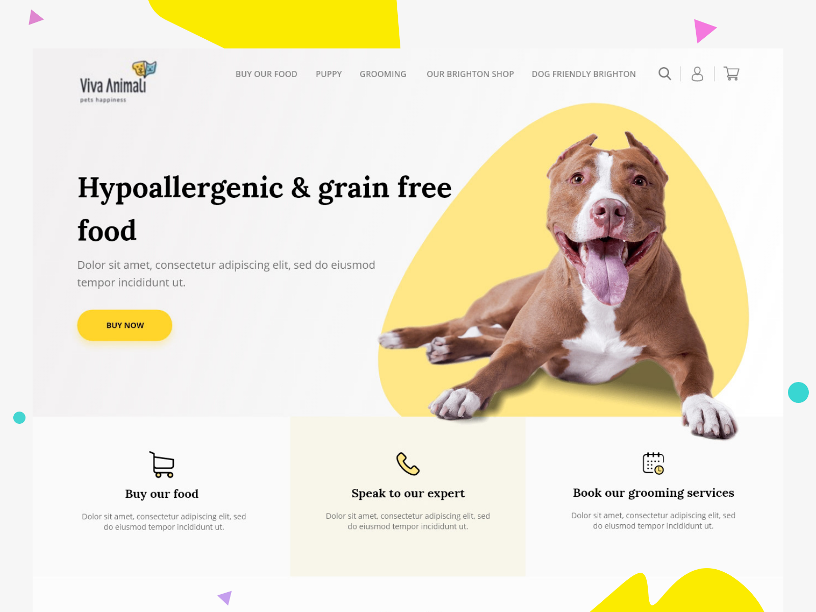 pet website by Anoosha on Dribbble