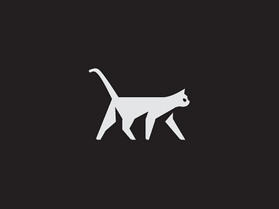 Cat by Nina Megrelidze on Dribbble