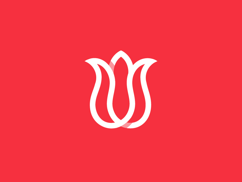 Tulip by Nina Megrelidze on Dribbble