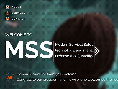 MSS modern survival solutions technology wdg web development group website wordpress