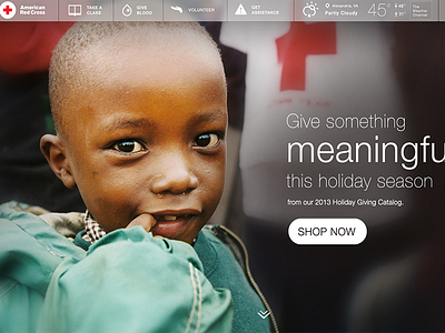 Give Something Meaningful american red cross design development health interactive wdg web development group
