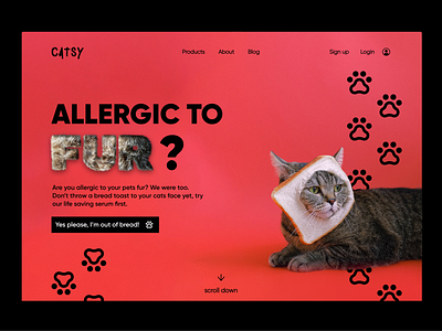 Cat Furrr | Landing page animals branding cat colors concept dailyui design graphicdesign landingpage minimal ui uichallenge website
