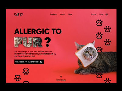 Cat Furrr | Landing page