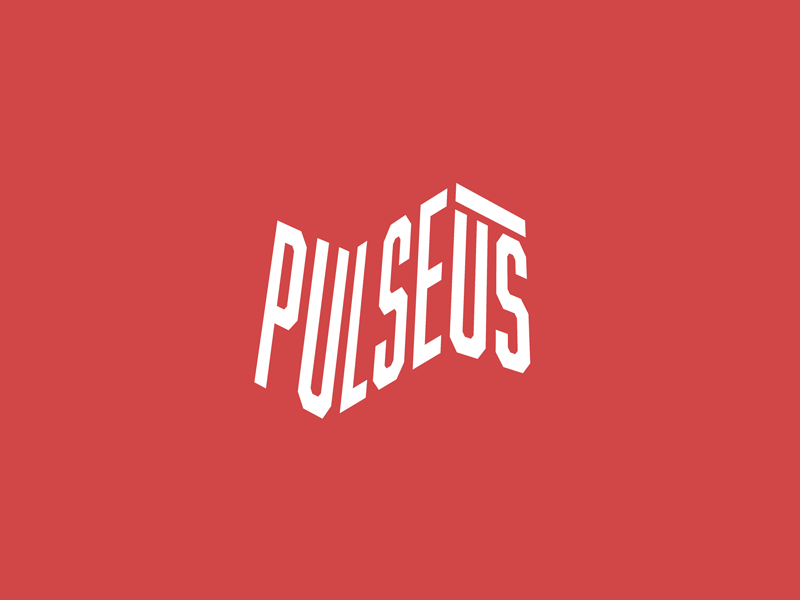 Pulseus brand branding identity logo logotype typography