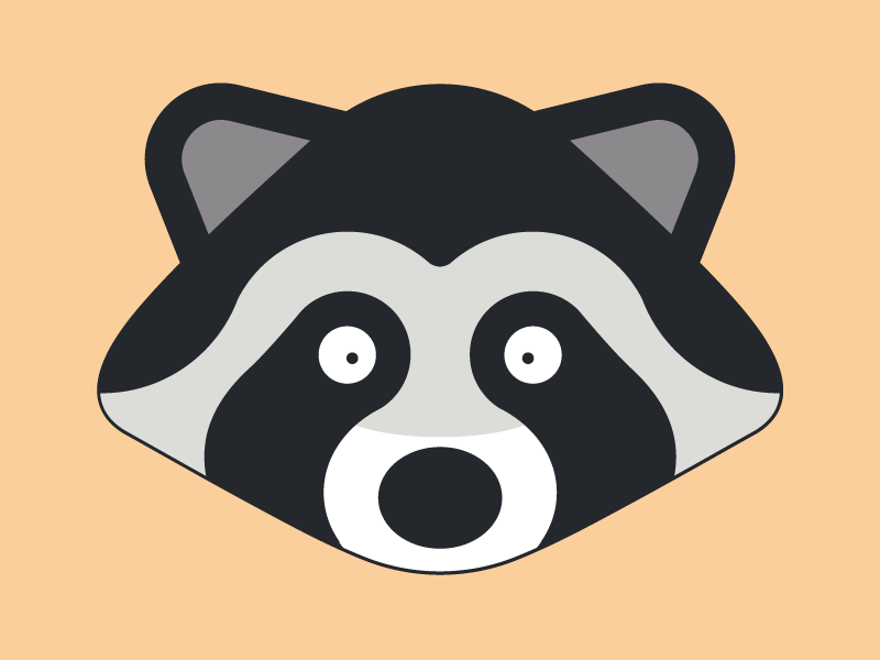 Cute raccoon head cute head raccoon