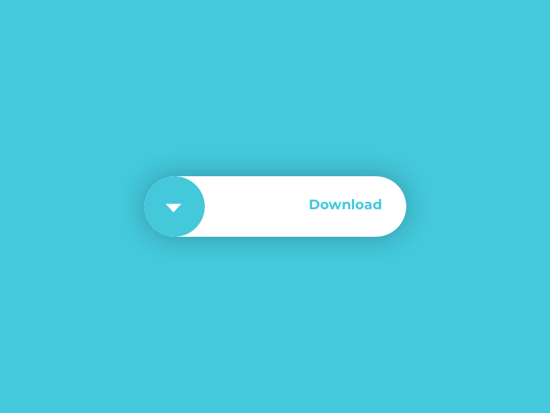 Button - Flash Message - Daily UI 11 branding dailyui design logo motion principle typography ui uiux vector