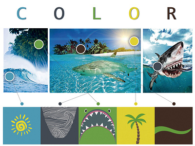 Inspiração/cores Shark Surfboards cor cores illustration inspiration shark surfboards