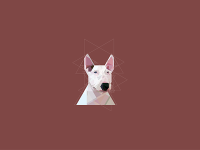 Bull Terrier Geometricé illustrator ilustracion