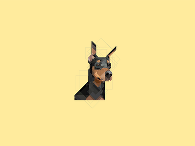 Doberman Geometrico doberman illustrator ilustracion perro vector