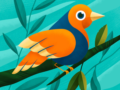 Bird illustration vector