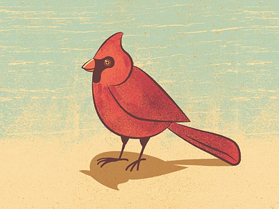 Cardinal birds design illustration illustrator nature sketch textures vector vector art